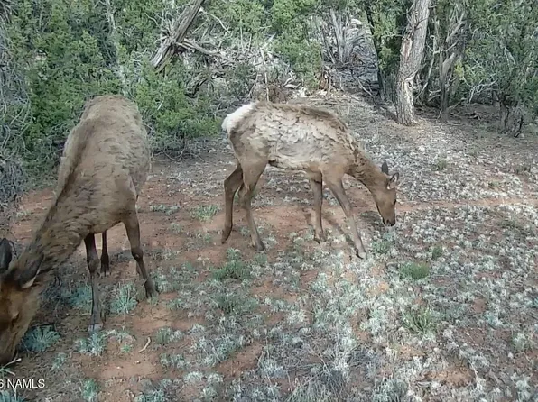 LOT-186A N Bull Run Rd, Williams, AZ 86046