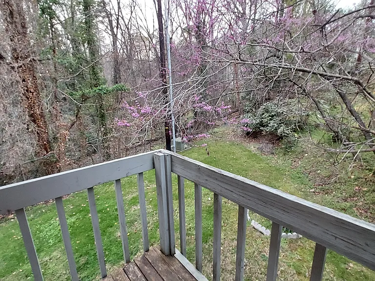 875 Martin Luther King Jr Blvd #15 — Photo 13