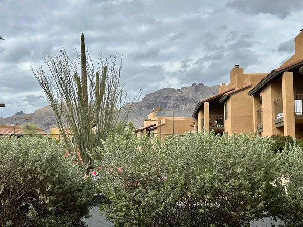 6651 N Campbell Ave, Tucson, AZ