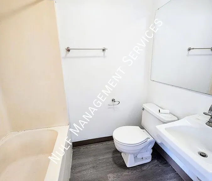 341 Downing St #2 — Photo 3