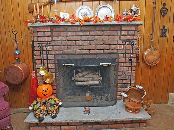 Wood Burning Fireplace