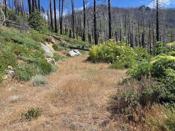 53009 Pine View Drive, Springville, CA 93265