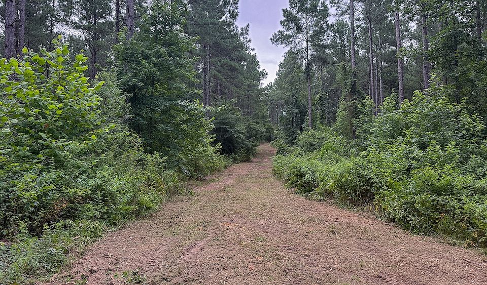 1st image of County Road 4435