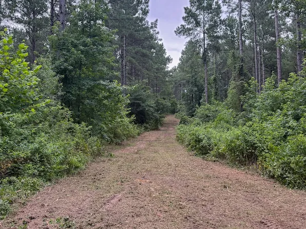 County Road 4435, Pittsburg, TX 75686
