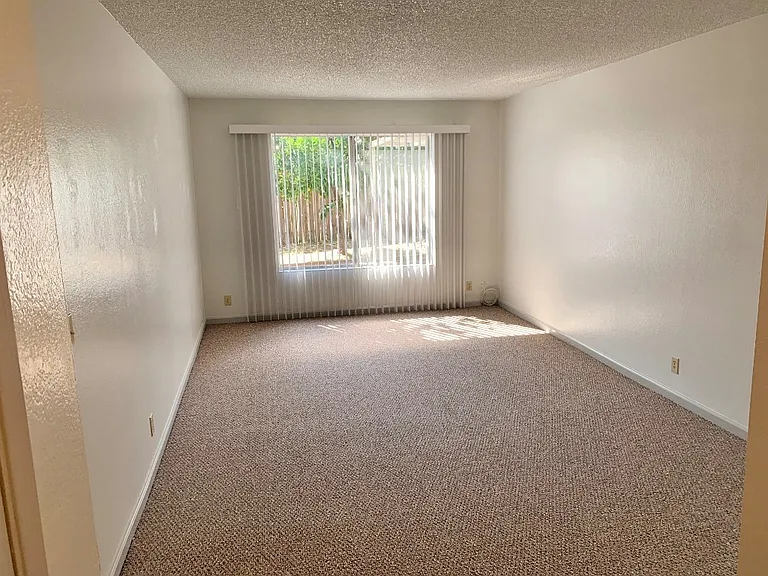 805 Avon Ct — Photo 9