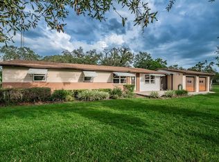 13102 Gibson Ln, Odessa, FL 33556
