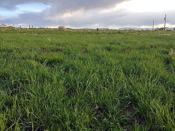 Peaceful country living