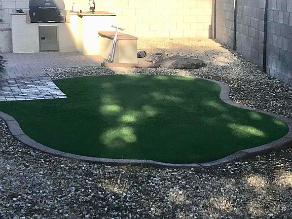 Backyard Turf