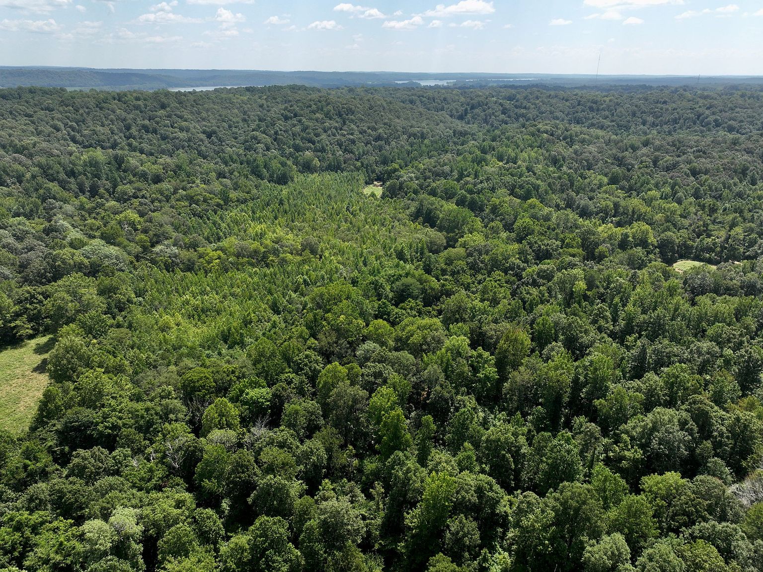 Bay City Rd LOT WP001, Golconda, IL 62938 Zillow