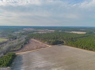 3 Reddish Rd, Odum, GA 31555