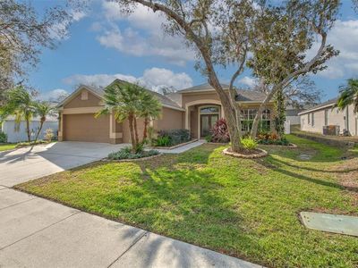 11147 Bridgecreek Dr, Riverview, FL, 33569