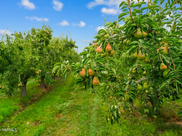 1721 Sunset Way, Cowiche, WA 98923