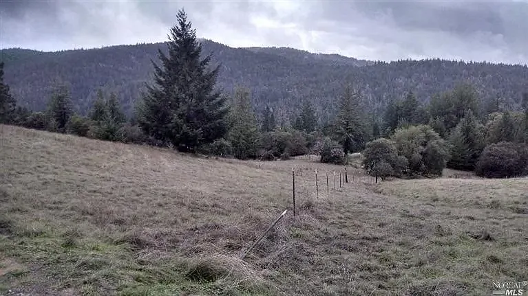 13333 Low Gap Rd — Photo 12