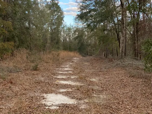 5206 SW 57th Ct, Jasper, FL 32052