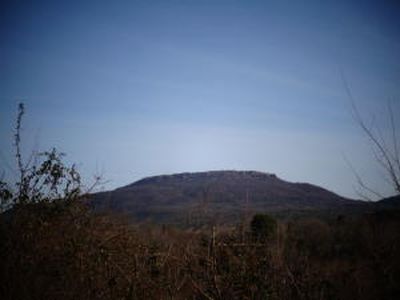 (Undisclosed Address), Dardanelle, AR, 72834