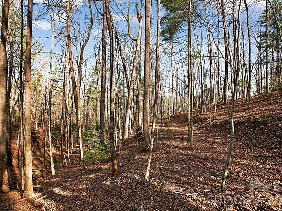 5th image of LOT 62 Dirksen Ave