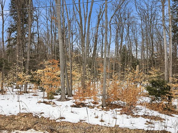 5th image of 131 Shady Maple Rd