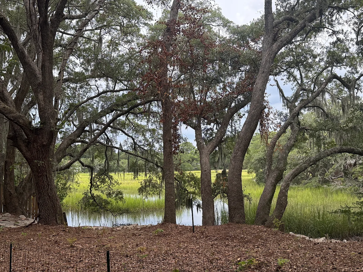 2 bed, 927 sqft, $2,975 — Photo 2