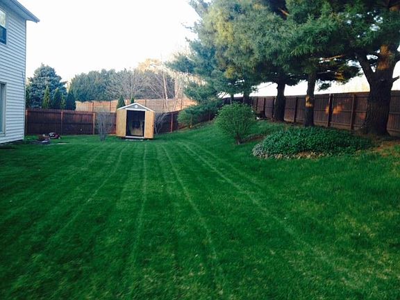 Massive backyard