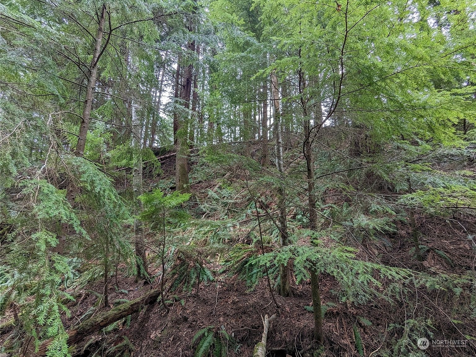 14 Black Bear Court UNIT A, Bellingham, WA 98229 | MLS #2217079 | Zillow