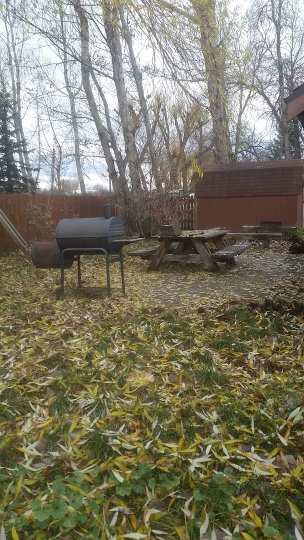 Rustic Cabin — Photo 4