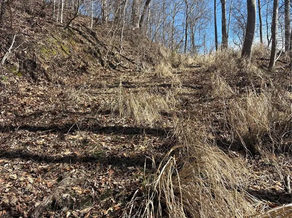 344 Running Deer Ln #71, Mars Hill, NC 28754