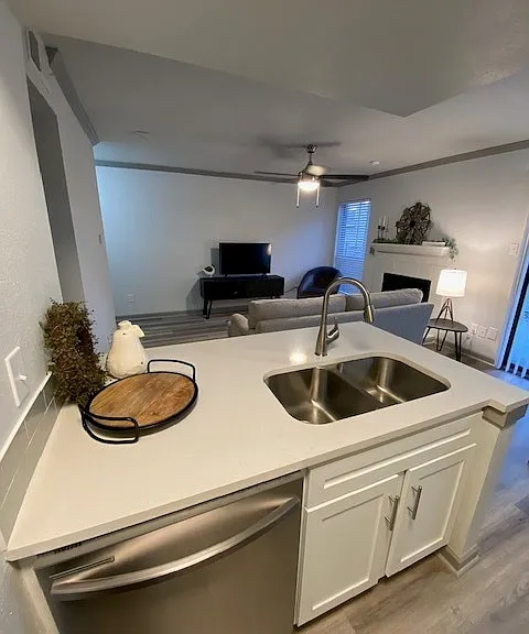 Upgraded Kitchen Counter & Living Area at Trailpoint at the Woodlands