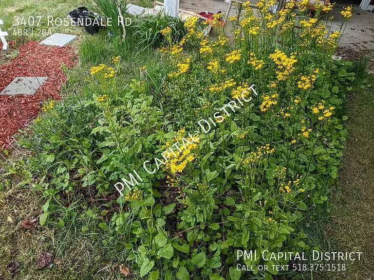 3407 Rosendale Rd — Photo 47