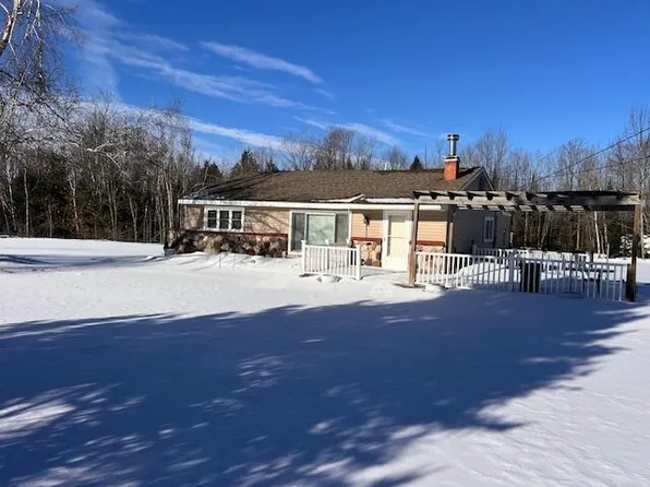 1076 W Devereaux Lake Rd, Indian River, MI 49749