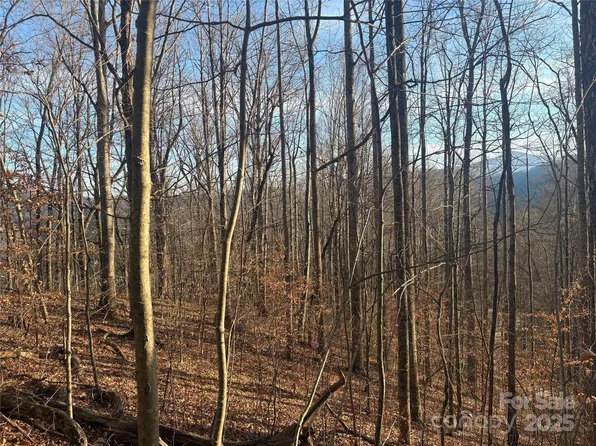 Upward Way #236 & 237, Waynesville, NC 28785