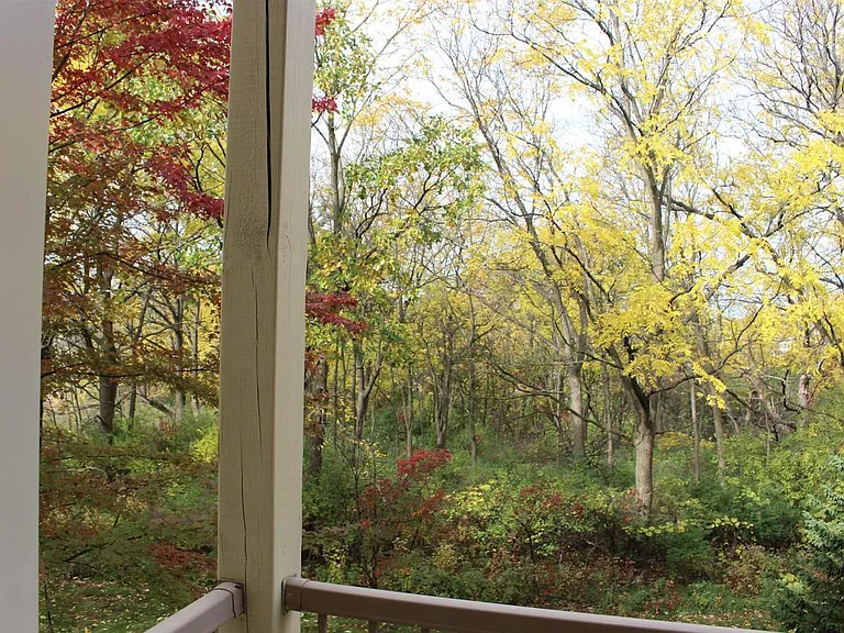 Patio view