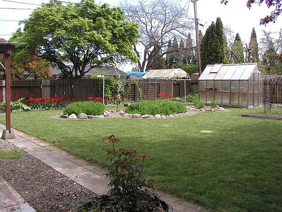 Backyard and greenhouse