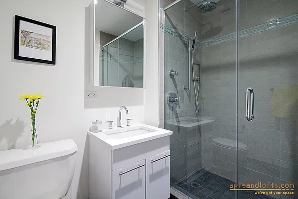 Rented by aptsandlofts.com | media 3
