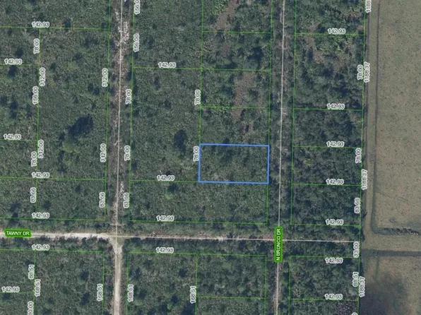 709 N Bronco Dr, Lorida, FL 33857