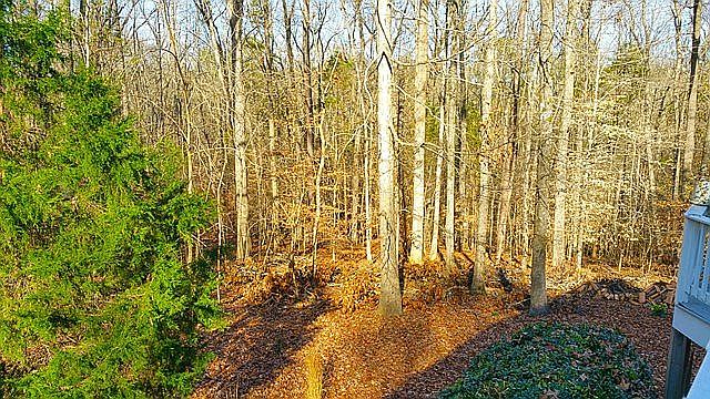 Forest w/14 HOA acs behind