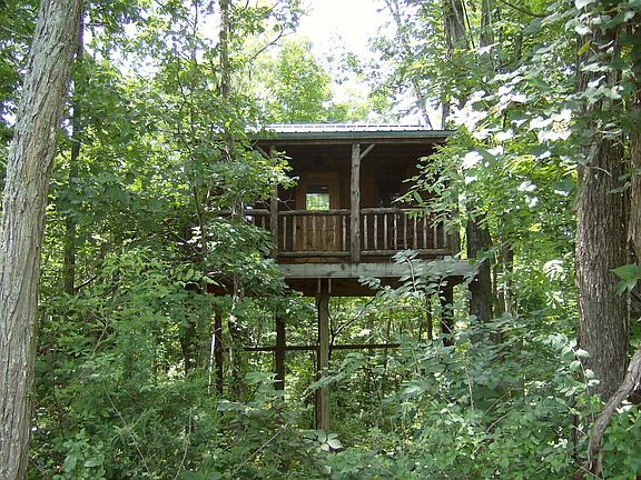 Large adult sized treehouse