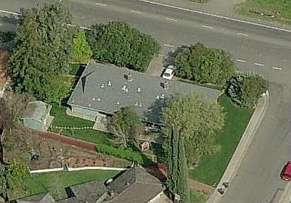 Bird's Eye