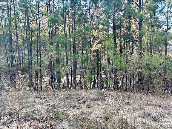 5th image of Binion Creek Hts