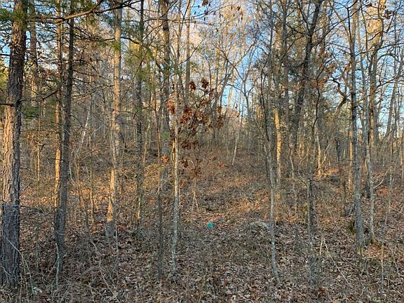 3rd image of 108 Wildflower Dr #Nod5