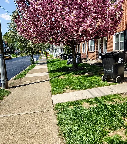 1501 Liberty St #A — Photo 4