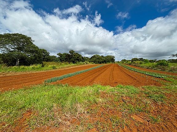 4th image of Puueo Mauka Dr Lot 20