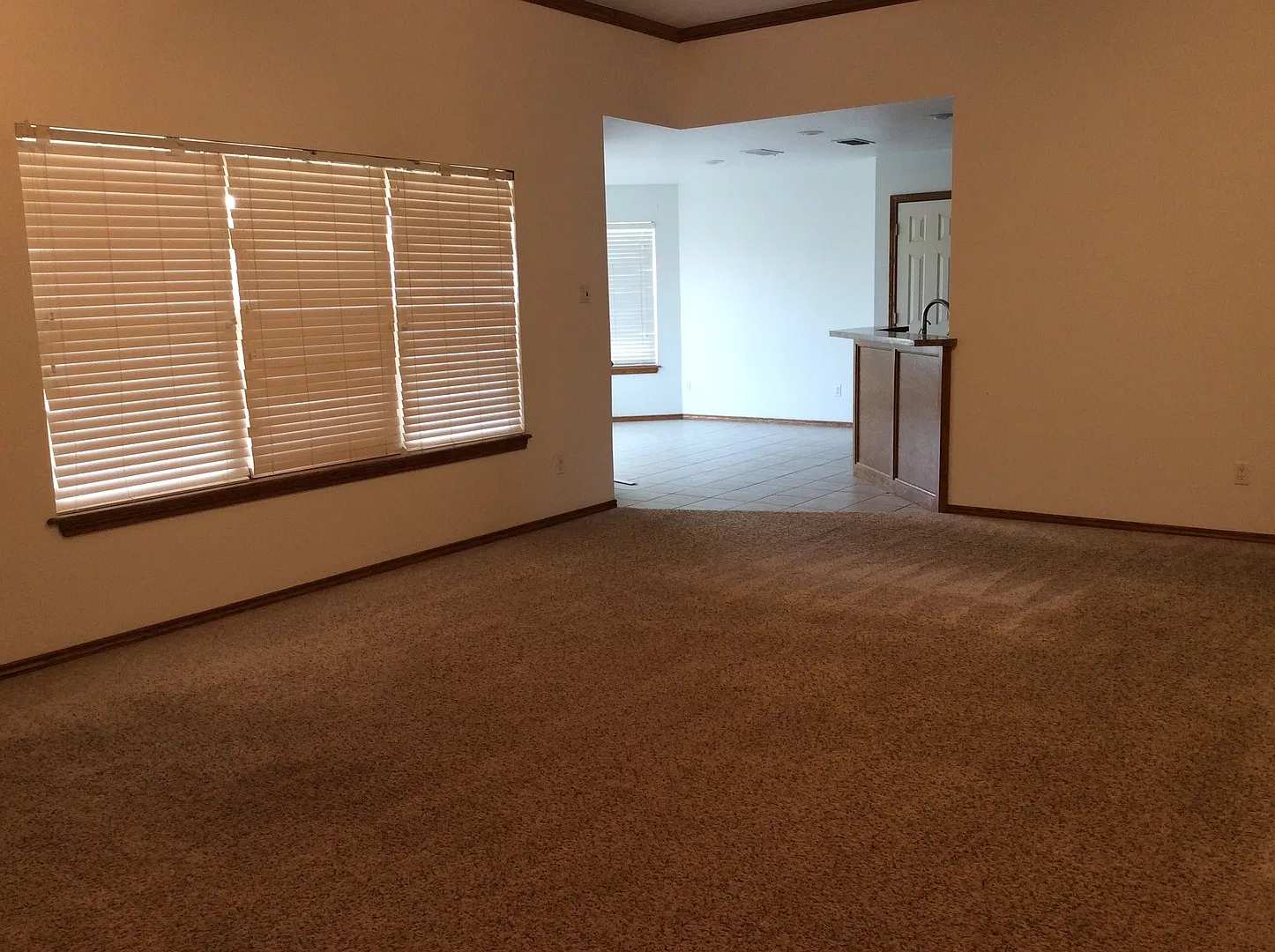 1705 Tiffani Lane — Photo 4