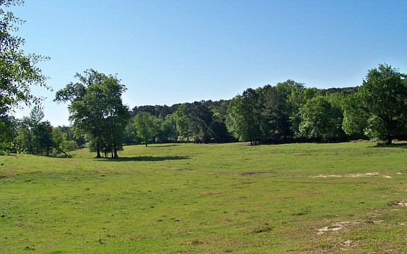 2nd image of County Road 3115 #155