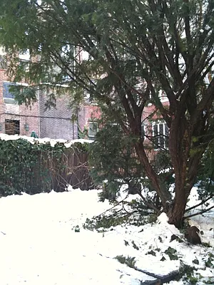 Rented by The Loft Broker | media 34