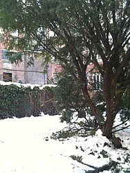 Rented by The Loft Broker