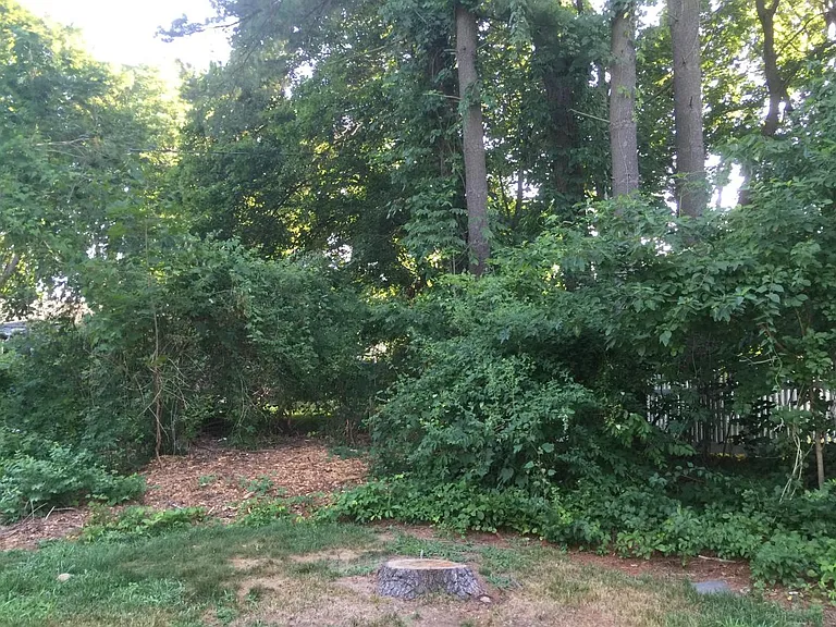 PART OF YARD