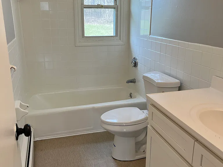 Williamsburg Apartments — Photo 18