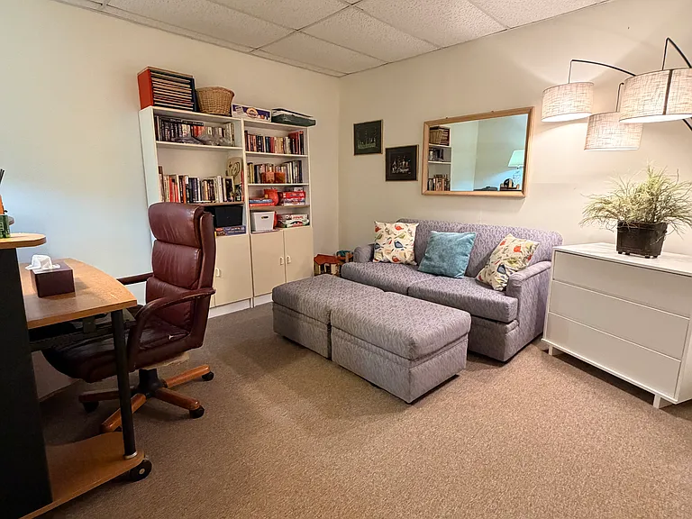 downstairs office playroom with pull out full size sofa bed