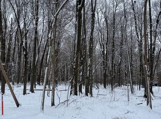 0 Willoughby Rd, Mason, MI 48854