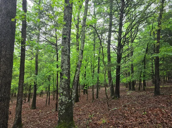 7413 Quail Hollow Ct Lot 310, Larue, TX 75770